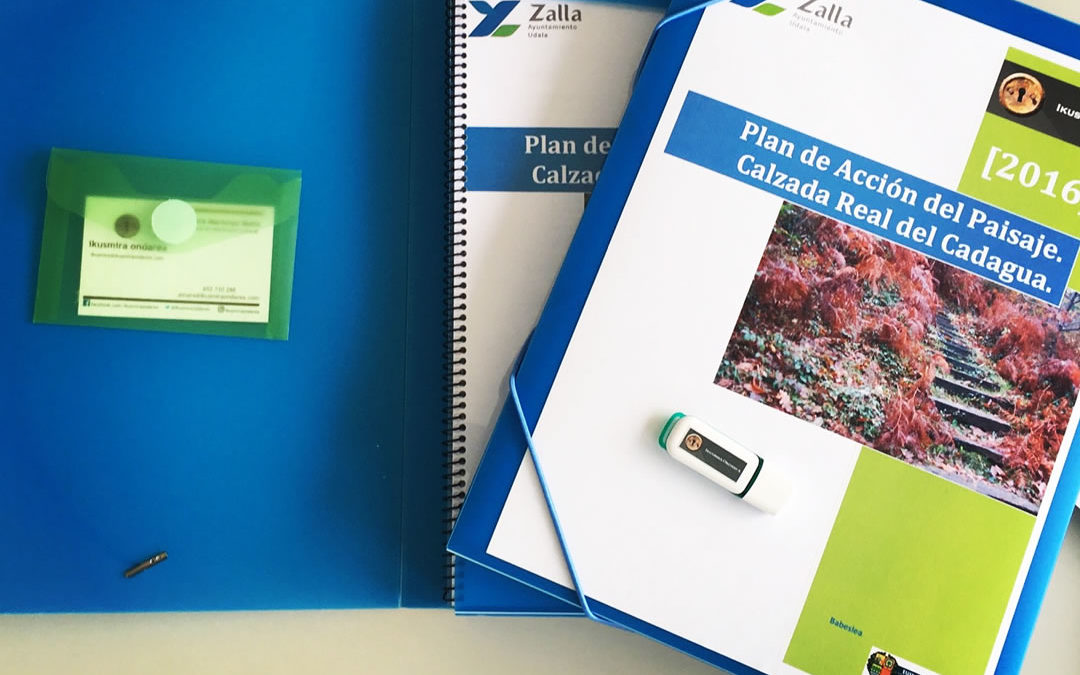 Plan de Acción Zalla