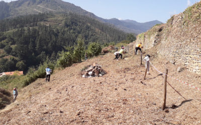 Terminado el auzolan del Cerro del Castillo… de momento