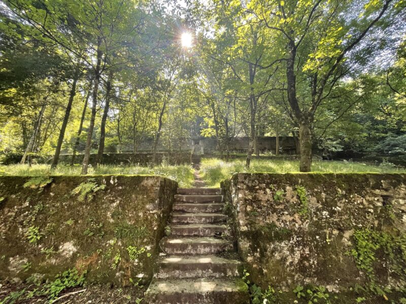 Jardín en terrazas con escalera en el medio