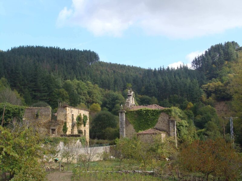 Palacio en ruinas frente a capilla tomada por la maleza en un paraje boscoso